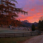 La fine di un percorso: Dolomiti Promotion saluta la sede di Strada de Sen Jan